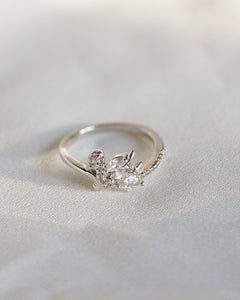 The Swan Ring